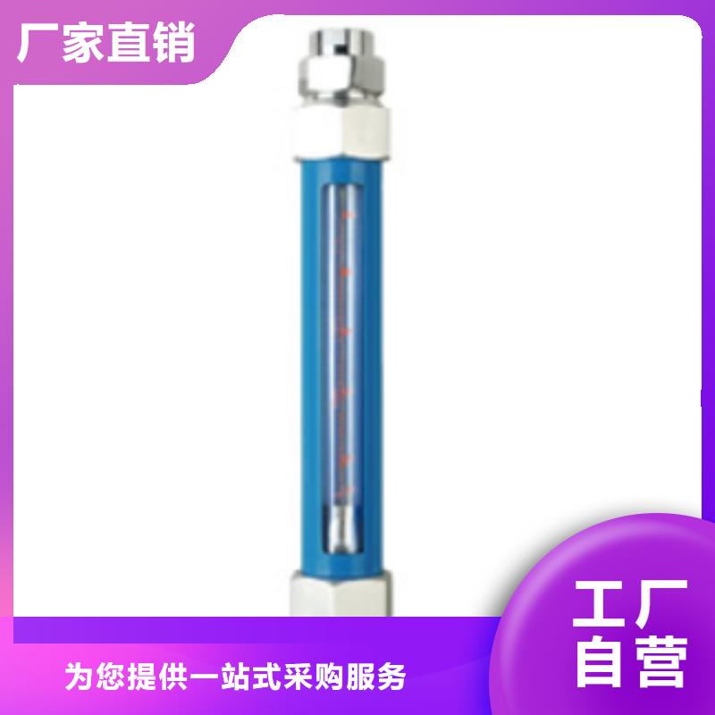 G10氢气玻璃转子流量计高品质诚信厂家