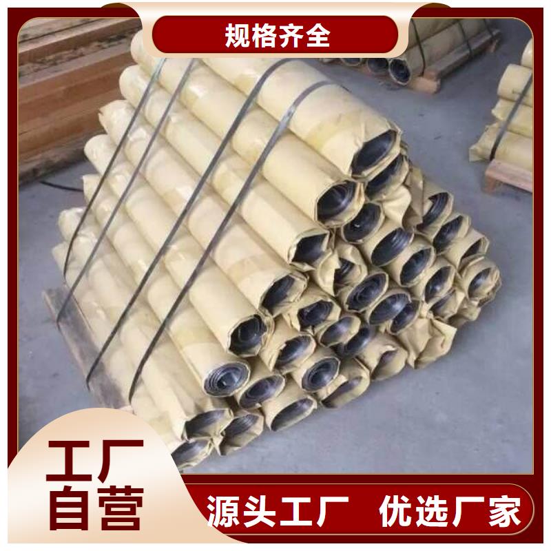 【防辐射铅板,铅门厂家安装简单】