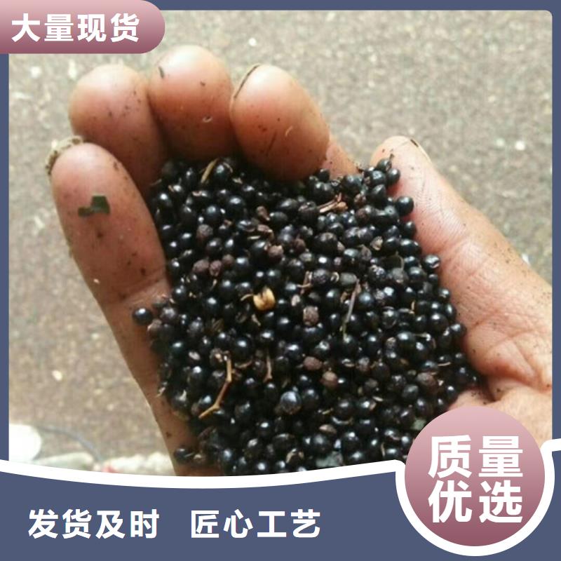 花椒苗梨树苗应用范围广泛