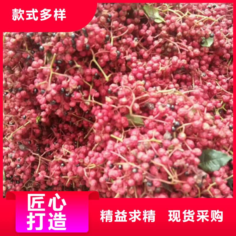 花椒苗无中间商厂家直销