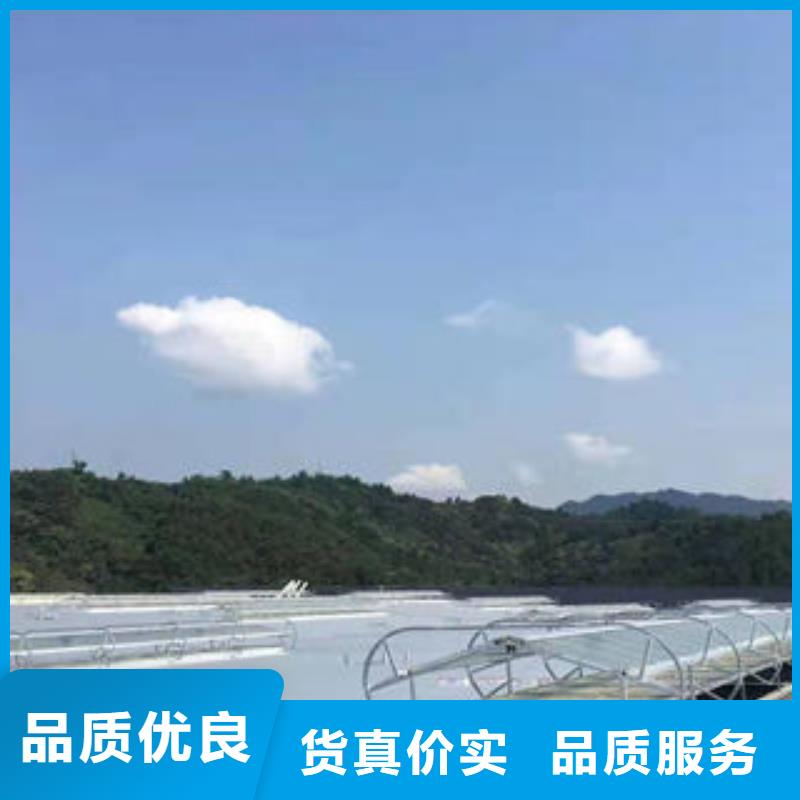 通风气楼价格