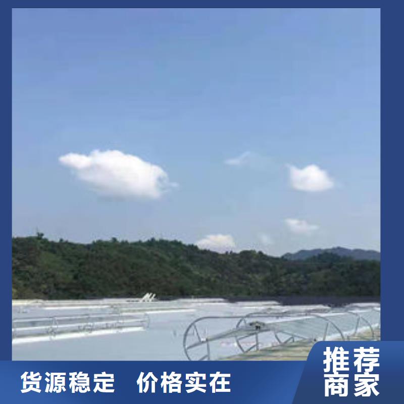 顺坡通风气楼价格公道