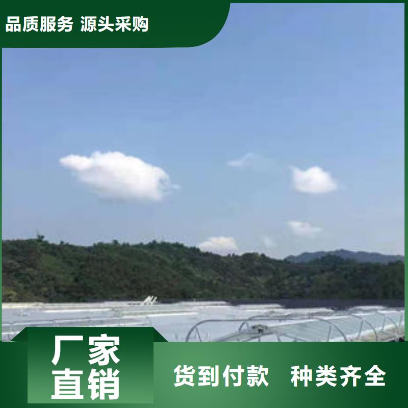 通风气楼价格