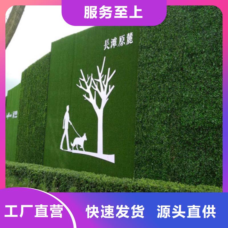 草坪围挡-人工草坪围挡严谨工艺