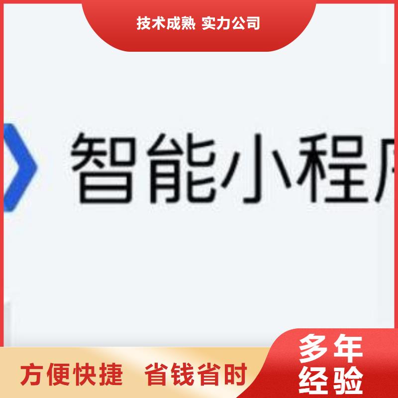 手机百度【网络公司】靠谱商家