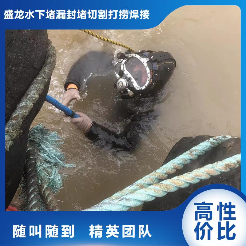 水下探摸录像性价比高