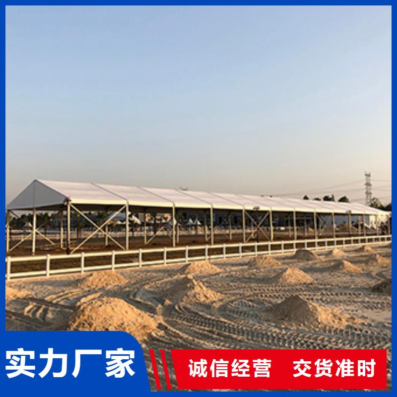 新蔡活动帐篷出租租赁搭建哪家好