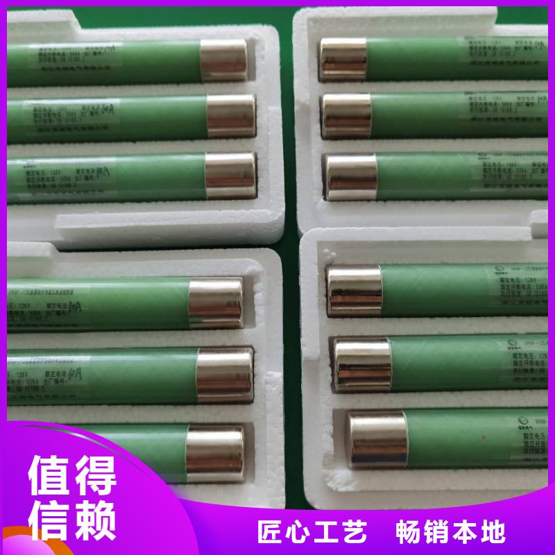 高压熔断器【XRNT-12KV熔断器】48小时发货