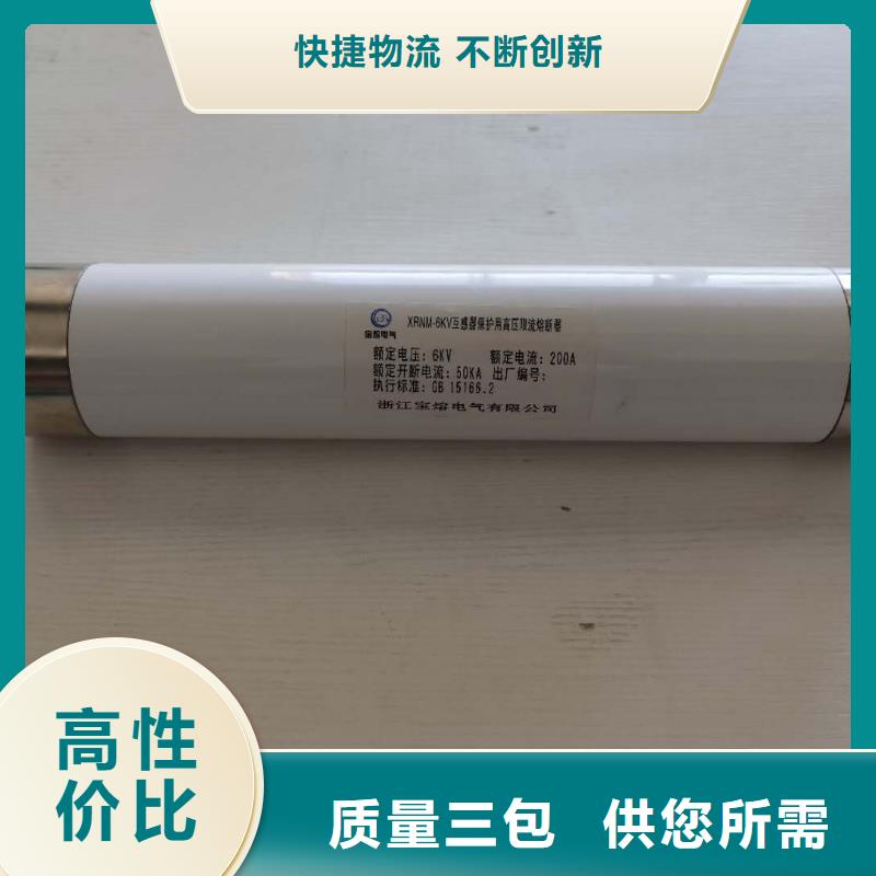 高压熔断器XRNT-12KV熔断器诚信经营质量保证