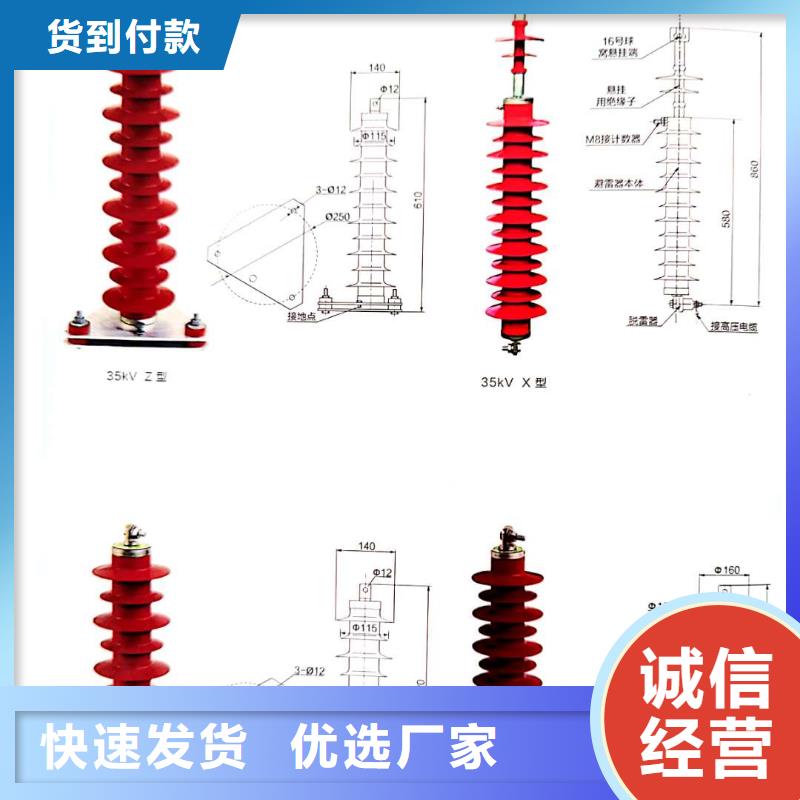 氧化锌避雷器XRNT-12KV熔断器精工细致打造