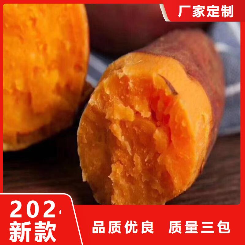 紫薯苗菠菜粉厂家现货满足大量采购