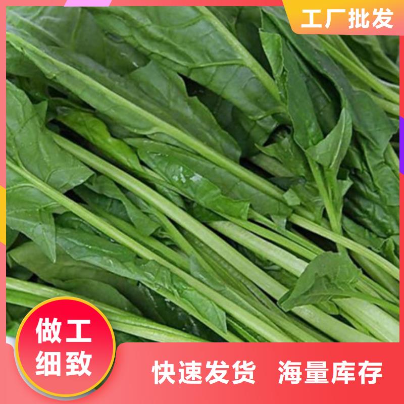 菠菜粉价格行情