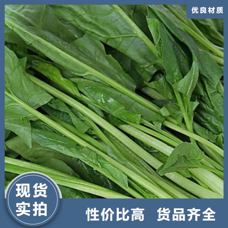 菠菜粉品质保障