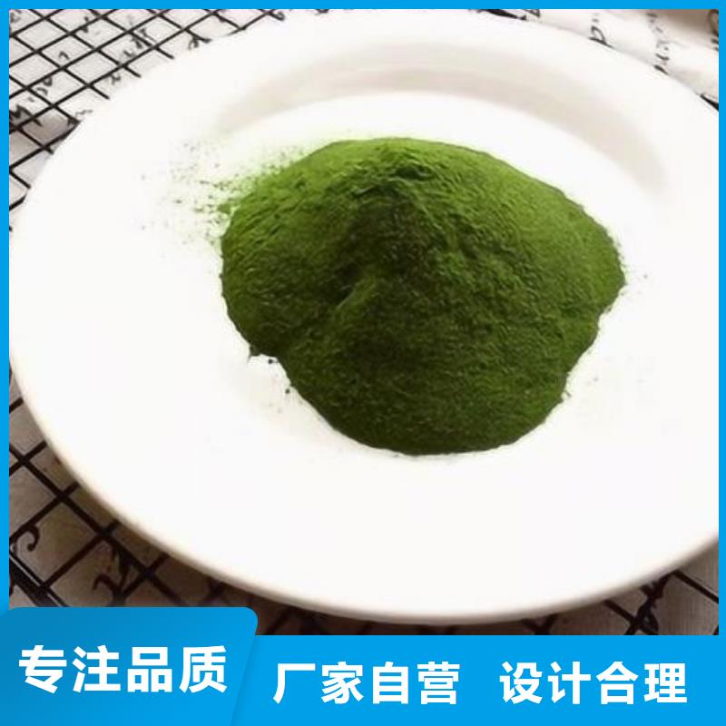 绿色菠菜粉新报价