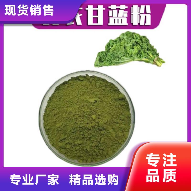 高品质羽衣甘蓝粉供应商