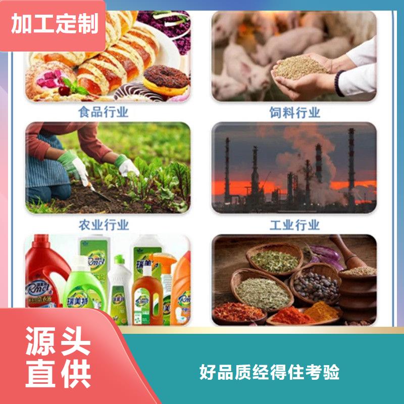 羽衣甘蓝粉、羽衣甘蓝粉生产厂家-认准乐农食品有限公司