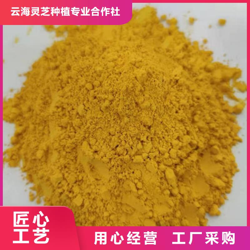 南瓜粉【灵芝粉】价格合理