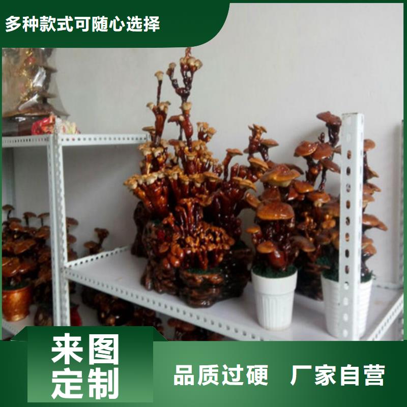 灵芝超微粉老品牌值得信赖