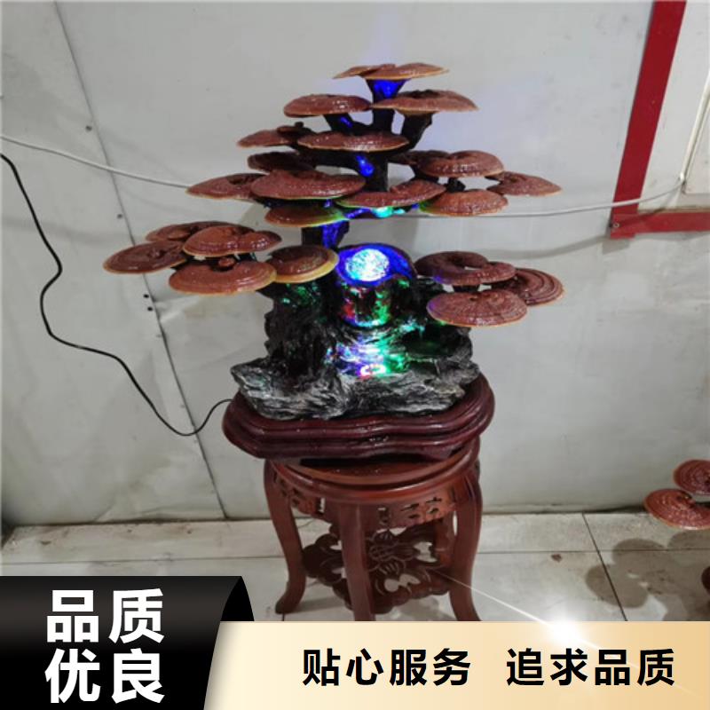 灵芝活体免费邮寄样品