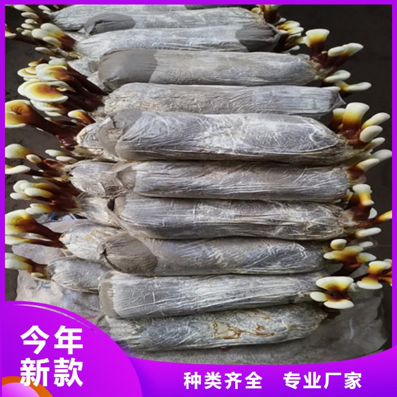 
孢子灵芝-用心做产品