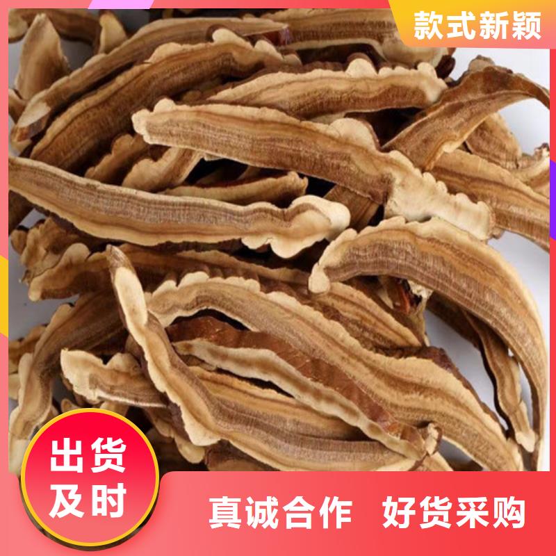 破壁灵芝孢子粉厂家量大优惠