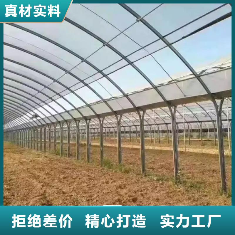 万柏林火龙果大棚骨架欢迎咨询2025