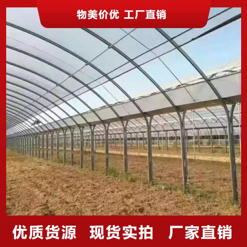 果树骨架钢管规格2025