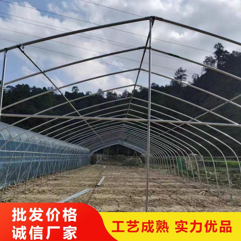 汉南种植大棚优惠报价2025