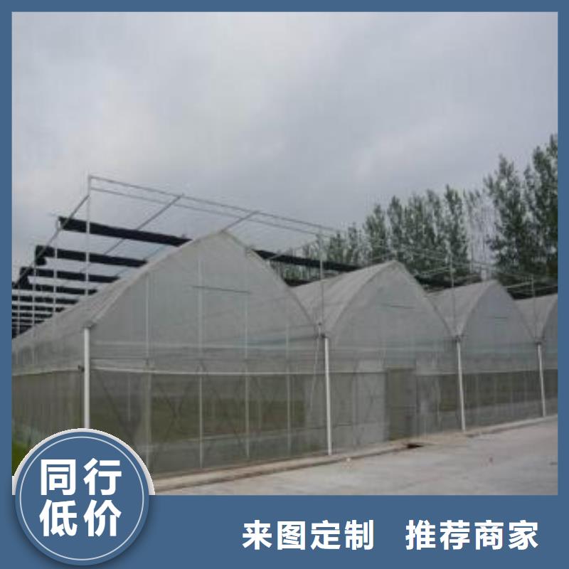 绿色植物大棚管良心厂家2025