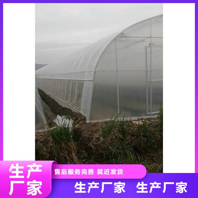 菌菇定尺大棚管制造厂家