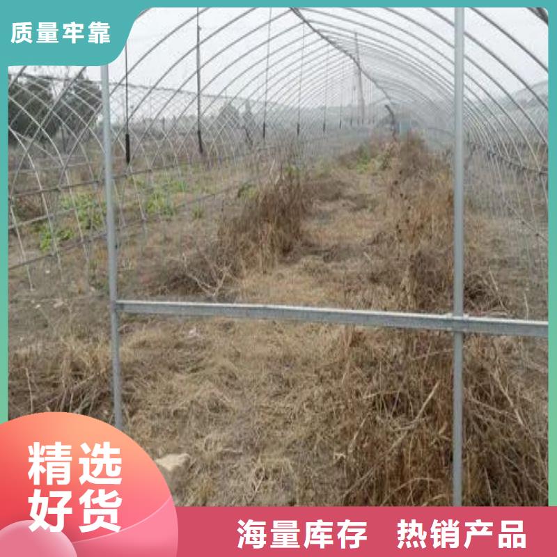 武山县防虫网下单