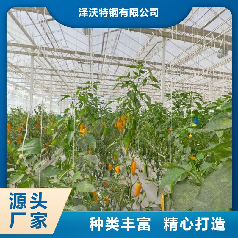 西峡县蔬菜连栋大棚管咋卖