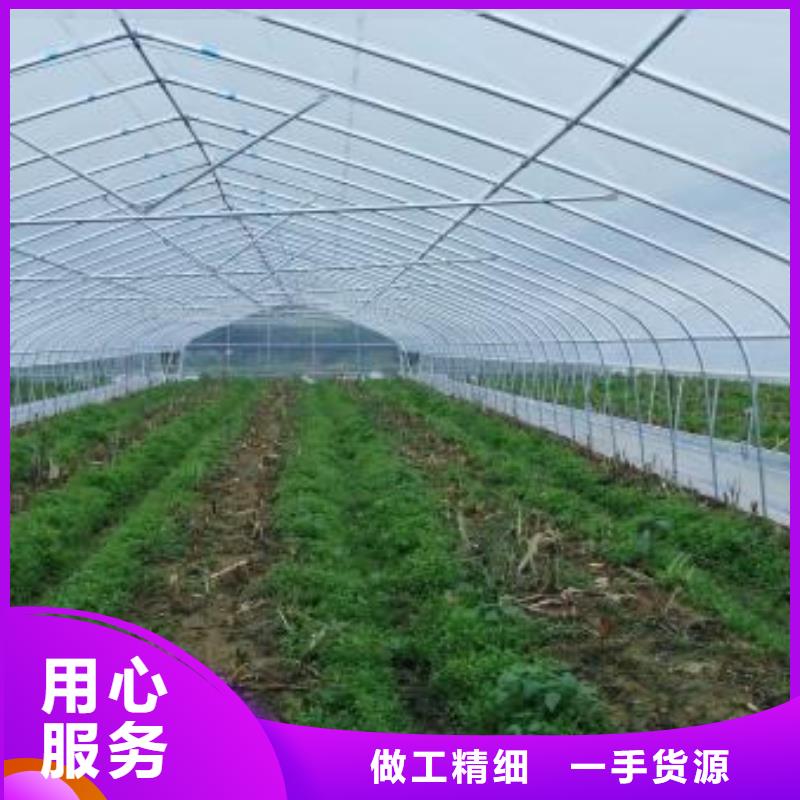 永平蔬菜大棚管值得信赖2025已更新