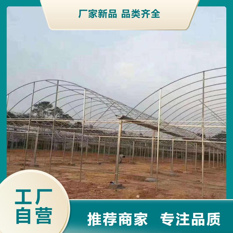 华蓥温室大棚骨架质优价廉2025已更新