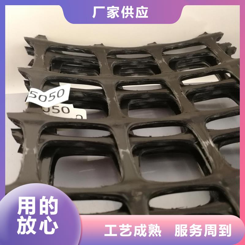 双向塑料土工格栅【土工席垫】批发价格