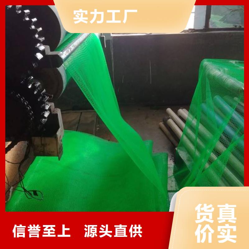 三维植被网【PVC防水卷材】发货及时