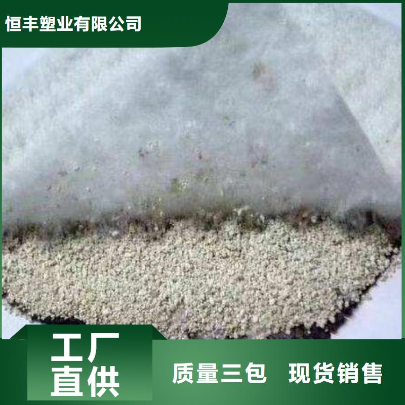 膨润土防水毯【HDPE黑色土工膜】欢迎来厂考察