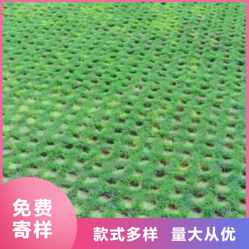 【植草格】塑料土工滤网海量现货