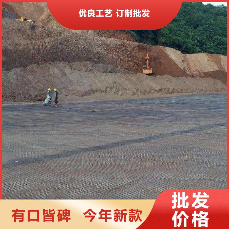 pp焊接土工格栅涤纶土工格栅实地大厂