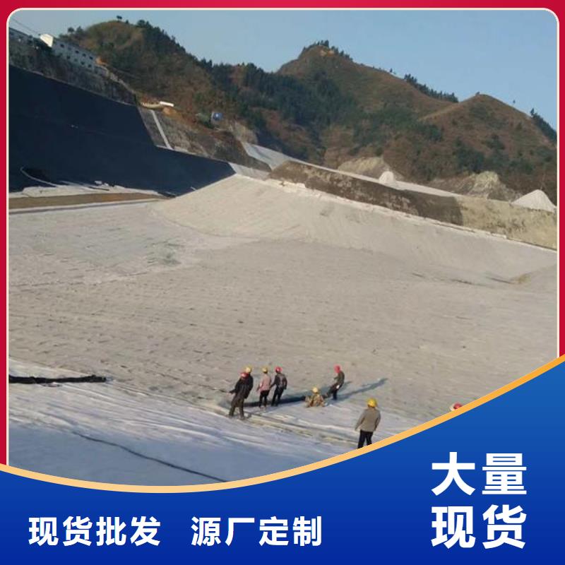 膨润土防水毯凸结点钢塑土工格栅免费安装