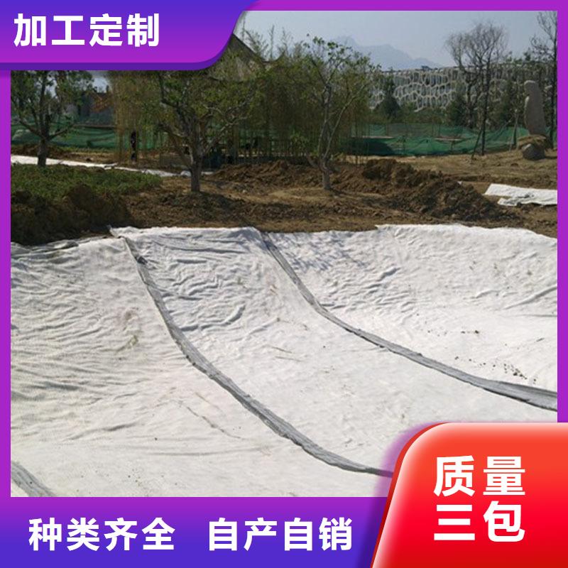 膨润土防水毯【玻纤土工格栅】质检严格