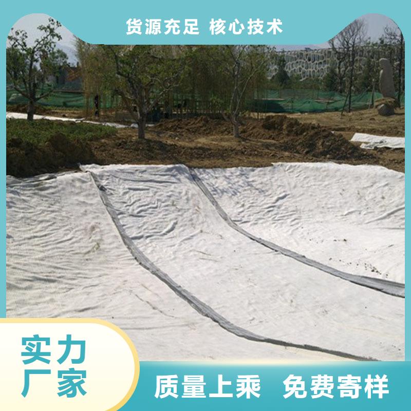 膨润土防水毯【透水土工布】优质工艺