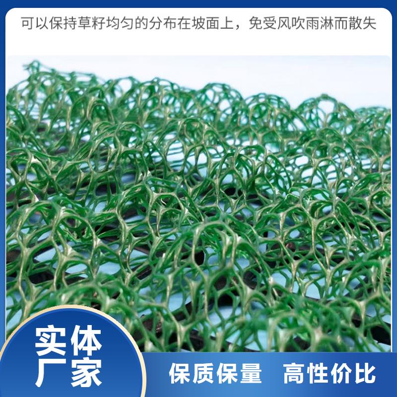 【三维植被网】塑料土工格栅现货