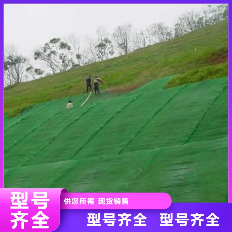 三维植被网单向塑料格栅懂您所需