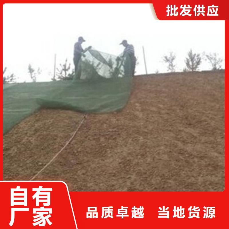 三维植被网单向塑料土工格栅精选货源