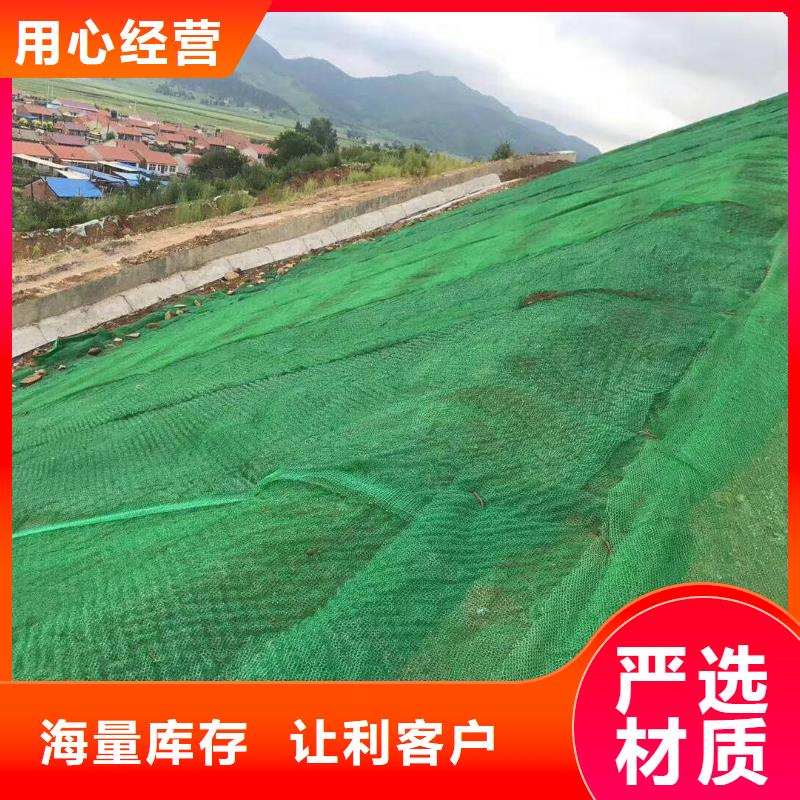 【三维植被网】防水土工布实地大厂