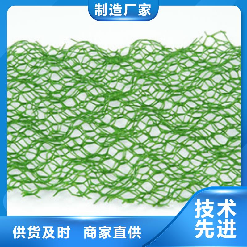 三维植被网_凸结点钢塑土工格栅优质原料