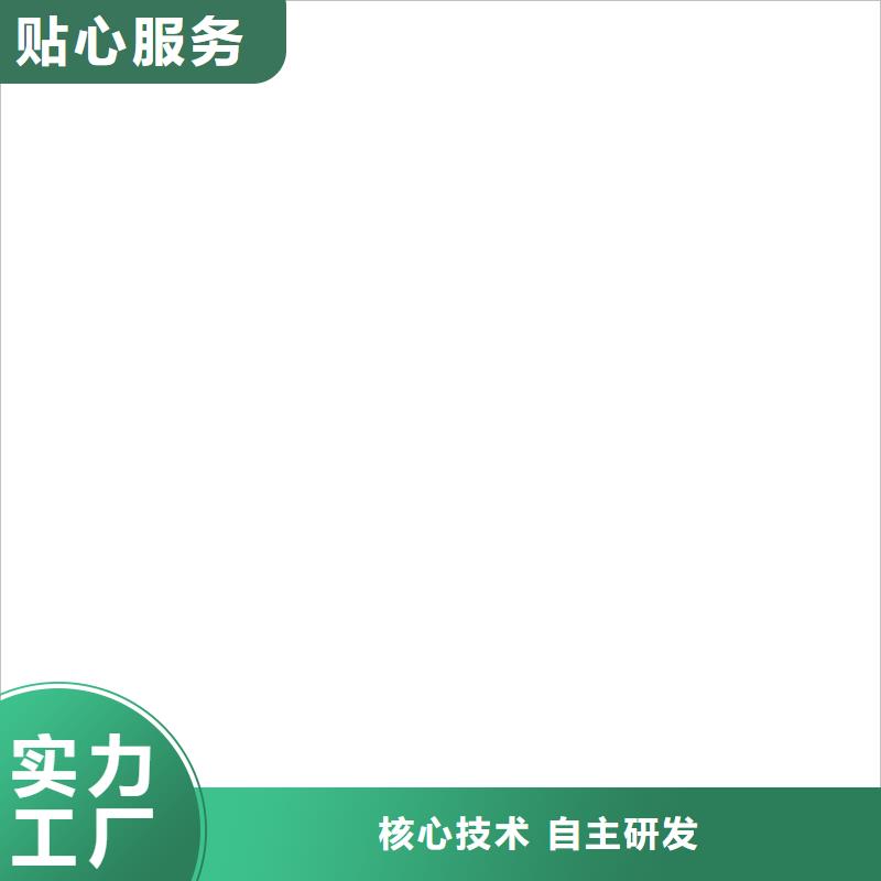 电子皮带秤电子汽车衡定制定做