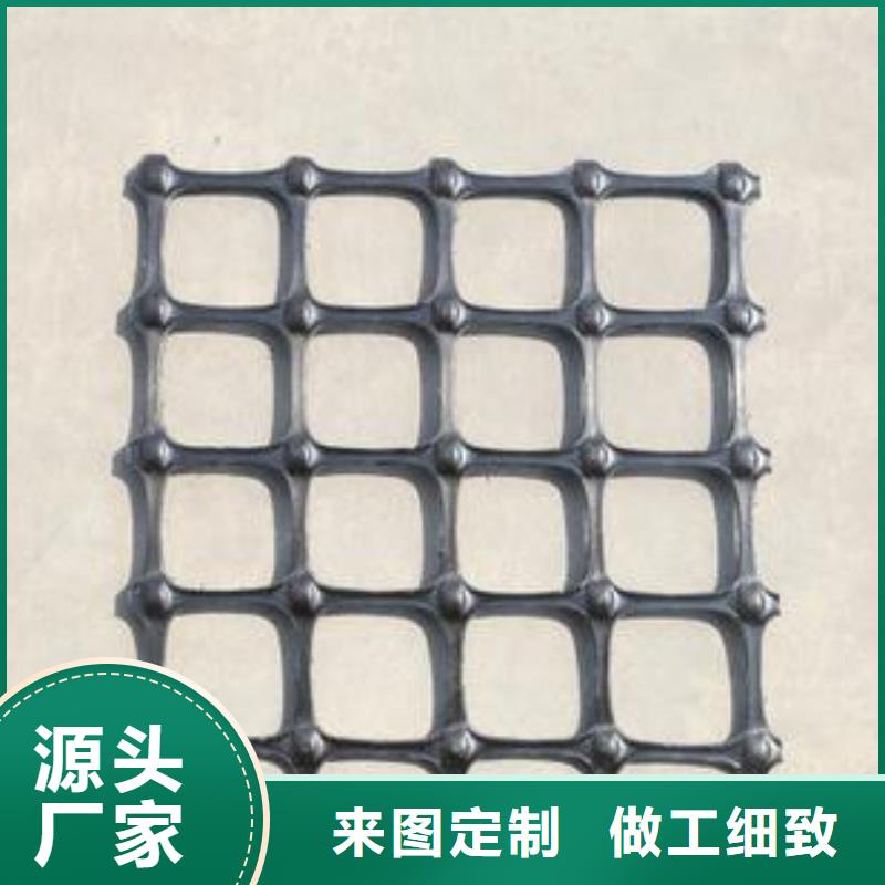 双向塑料土工格栅三维植被网实体诚信厂家