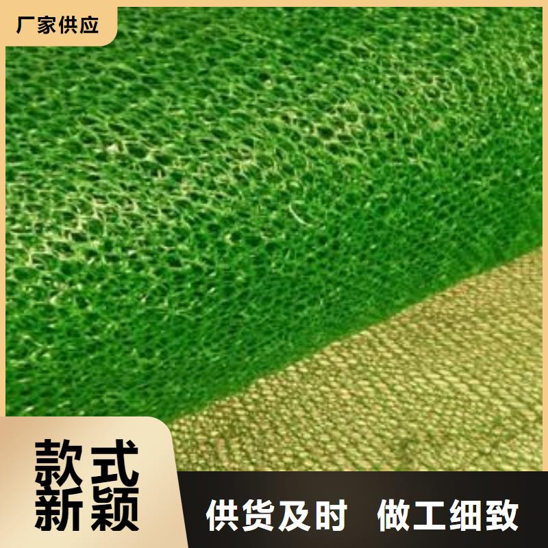 三维植被网【三维复合排水网】以质量求生存